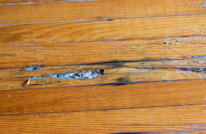 Water-damaged wooden floor in need of repair.