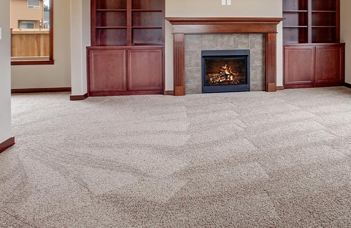 Professional carpet stain removal service in action, restoring the beauty of your flooring.