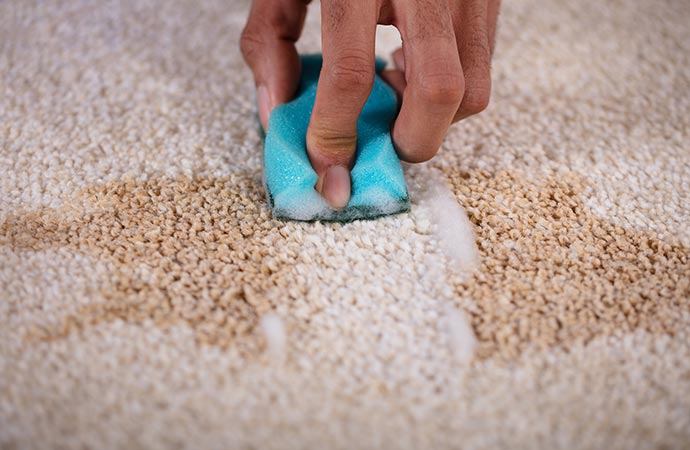 Stain Removal from Carpets in Billings, MT | Alpha Omega