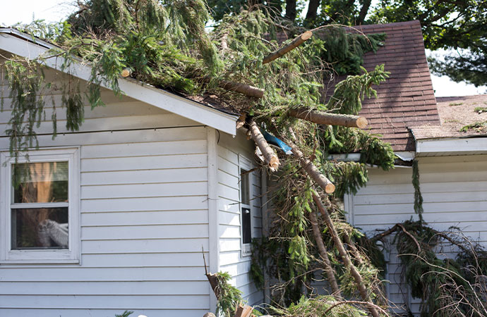 Alpha Omega Controlled Costs for Storm Damage Restoration