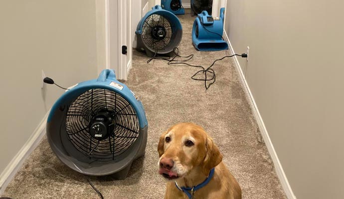 dryer fan in hallway