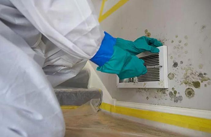 Professional worker removing mold in Billings, MT