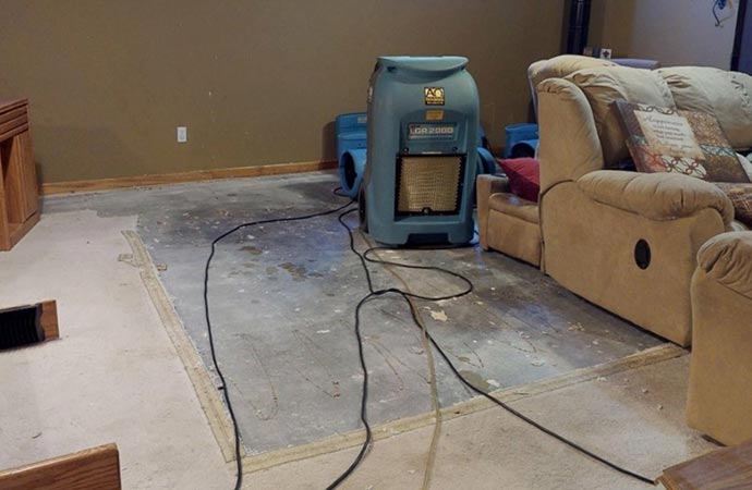 Expert water damage restoration services by professionals.