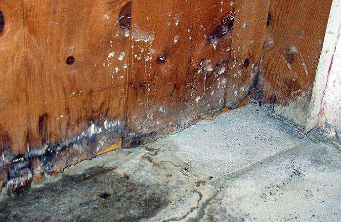 structural property water damaged restoration