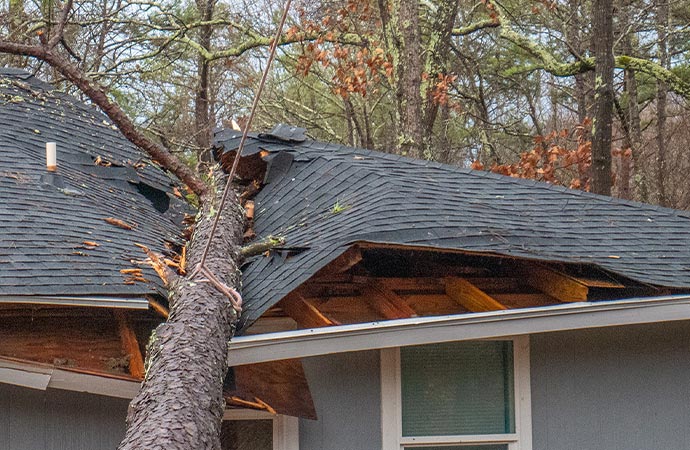Roof Damage After Storms in Billings & Laurel, MT | Alpha Omega