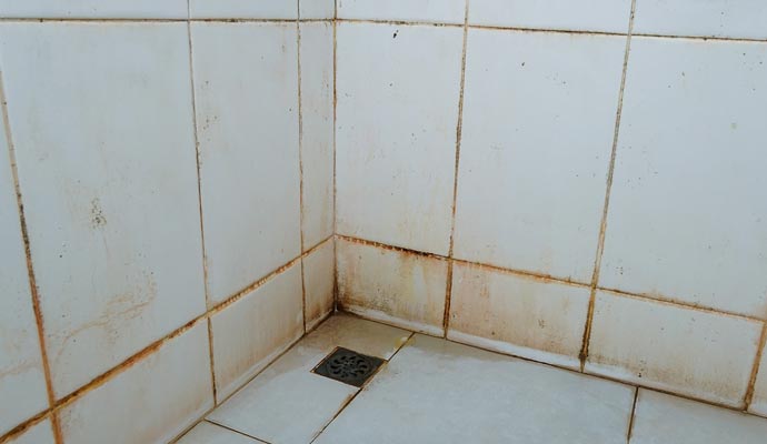 water damaged tile & grout
