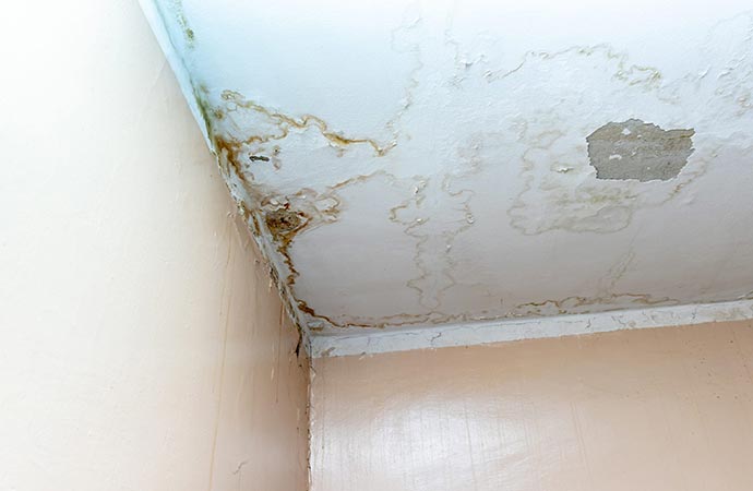 white peeling celing structural water leak damage